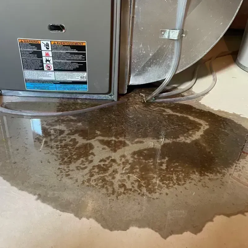 Appliance Leak Cleanup in Clarkson Valley, MO